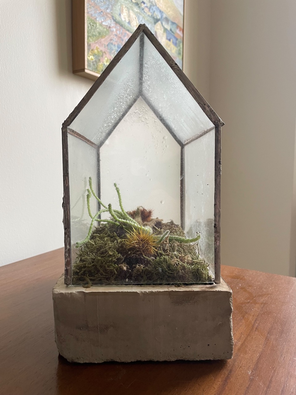 Terrarium
