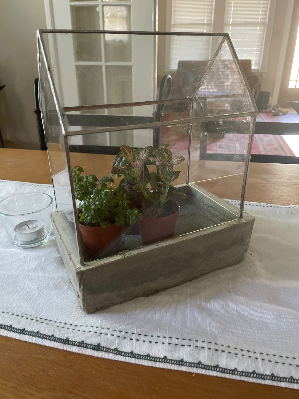 Terrarium original