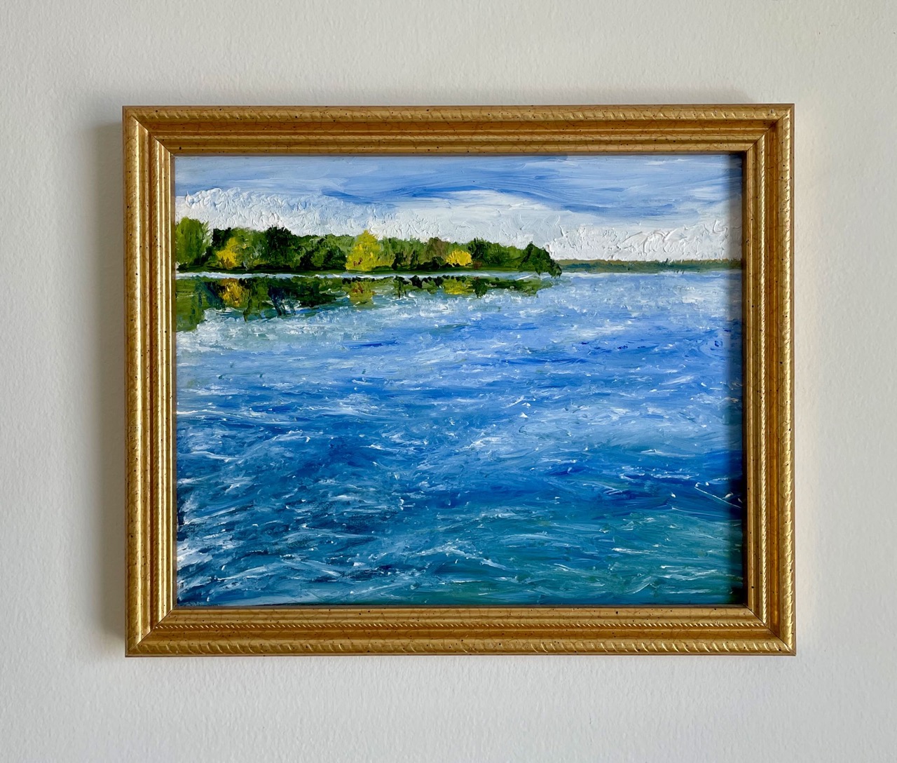 Picnic Point From A Low Hanging Tree